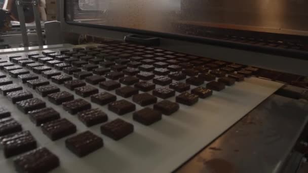 Çikolata Kaplı Waffle Lar Taşıyıcı Bant Boyunca — Stok video