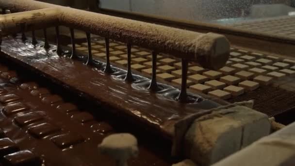 Шоколадні Вафлі Рухаються Вздовж Конвеєра Кондитерській Фабриці Виробництва Кондитерських Виробів — стокове відео