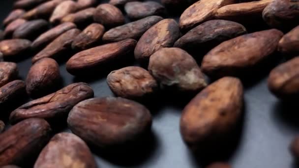 Fagioli Secchi Cacao Vicino Rallentatore — Video Stock