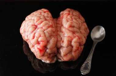 Bir kaşıkla beyin, Hayvan İç Organı