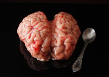 Bir kaşıkla beyin, Hayvan İç Organı