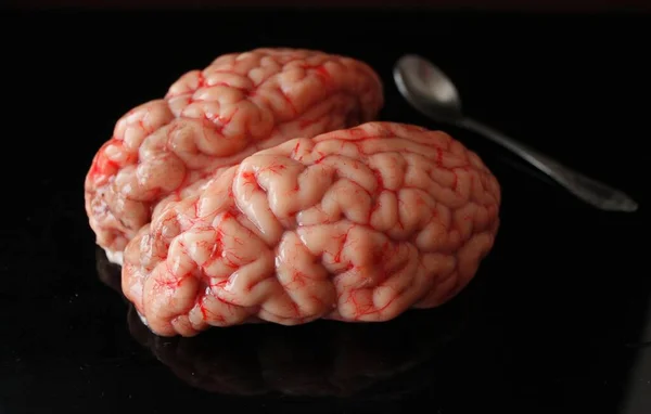 brains with a spoon, Animal Internal Organ
