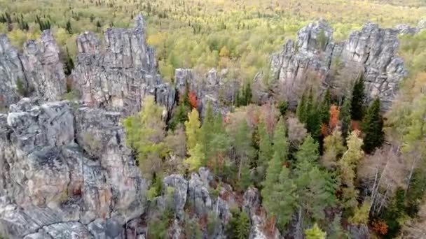 Légi Kilátás Sziklás Csúcsok Sárga Zöld Őszi Erdő Tájkép Drón — Stock videók