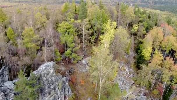 Letecký Pohled Skalnaté Vrcholky Žlutozelený Podzimní Les Krajina Drone Let — Stock video