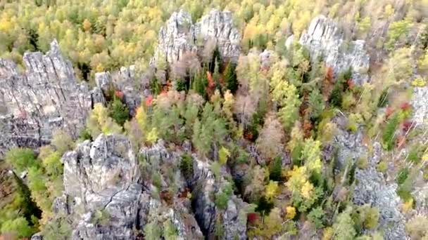 Вид Воздуха Скалистые Вершины Желтый Зеленый Осенний Лес Над Горами — стоковое видео