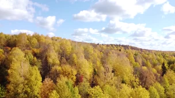 Natureza Outono Paisagem Aérea Voo Sobre Floresta Brilhantemente Colorida — Vídeo de Stock