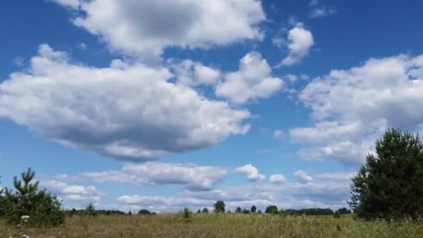 Timelapse Wolken Boven Een Weiland Zomer — Stockvideo