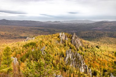 Sonbaharda dağ manzarası. Dağ manzarası ve sonbahar sarı ormanı