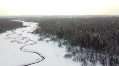Kış mevsimi karlı ormanlar havadan / nefes kesici doğal manzara, donmuş orman ve karanlık nehir