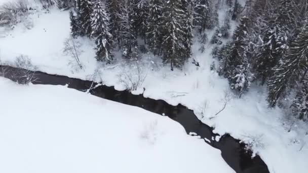Temporada Invierno Bosque Nevado Desde Aire Impresionante Paisaje Natural Bosque — Vídeos de Stock