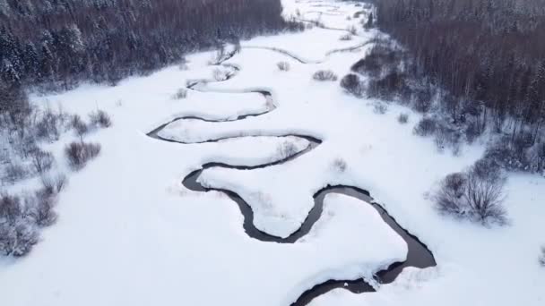 Wintersaison Verschneiter Wald Aus Der Luft Atemberaubende Naturlandschaft Gefrorener Wald — Stockvideo