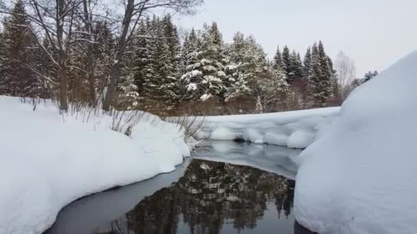 Kış Mevsimi Karlı Ormanlar Havadan Nefes Kesici Doğal Manzara Donmuş — Stok video
