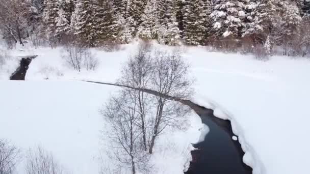 Зимовий Сезон Засніжений Ліс Повітря Захоплюючий Природний Ландшафт Замерзлий Ліс — стокове відео