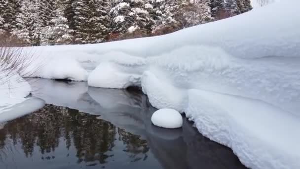 Vintersäsong Snöig Skog Från Luften Hisnande Naturlandskap Frusen Skog Och — Stockvideo