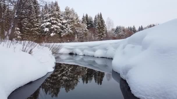Kış Mevsimi Karlı Ormanlar Havadan Nefes Kesici Doğal Manzara Donmuş — Stok video