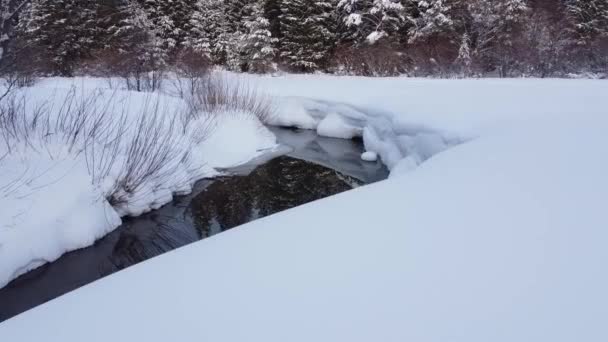 Temporada Invierno Bosque Nevado Desde Aire Impresionante Paisaje Natural Bosque — Vídeos de Stock