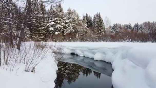 Temporada Invierno Bosque Nevado Desde Aire Impresionante Paisaje Natural Bosque — Vídeos de Stock