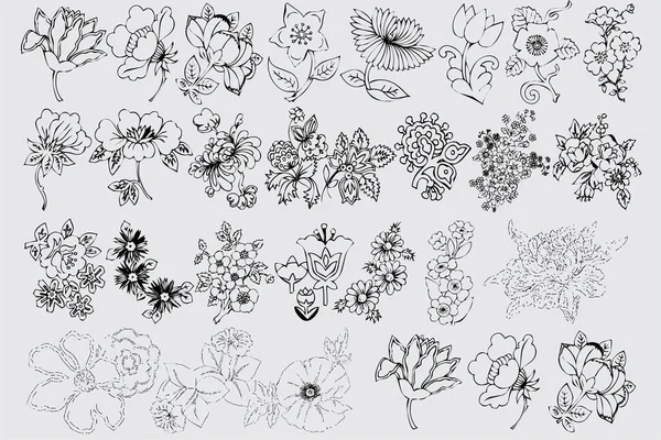 Set Floral Black Vector — Stockvektor