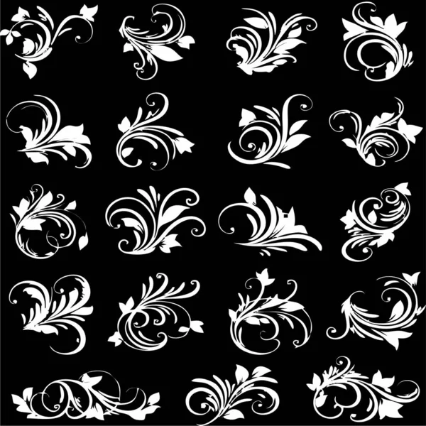 Vecteur Floral Noir Blanc — Image vectorielle