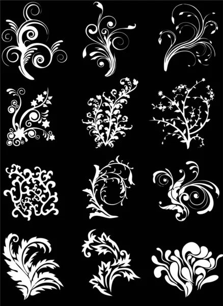 Vector Floral Blanco Negro — Vector de stock