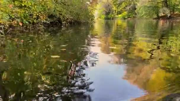 Flutuando Pelo Rio Outono Parque Cidade Árvores Com Folhas Verdes — Vídeo de Stock
