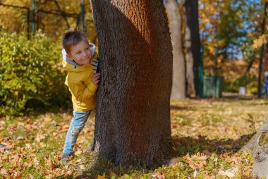 Sonbahar parkında ağaçların arkasına saklanan beyaz bir çocuk. Açık havada oynamak. Yüksek kalite fotoğraf