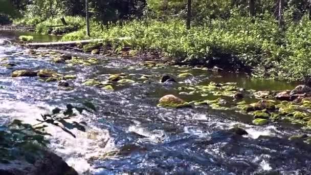 Szczelina Szybkiej Małej Górskiej Rzeki Wysokiej Jakości Materiał Filmowy Fullhd — Wideo stockowe