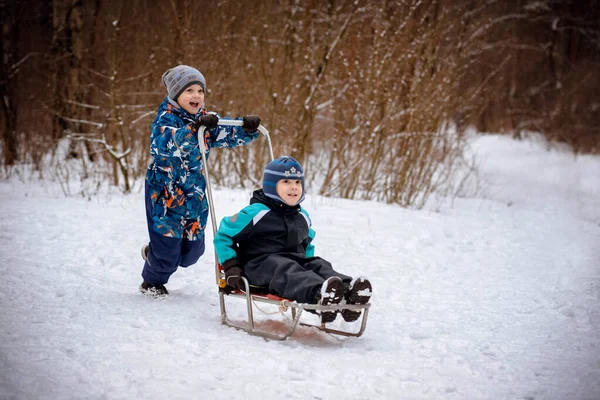 Beyaz çocuk, kış parkında kardeşini kızakla gezdiriyor. Yüksek kalite fotoğraf