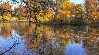 Şehir parkında sonbahar. Yeşil ve sarı yapraklı ağaçlar. Güneş parlayan güzel güneş ışığı 