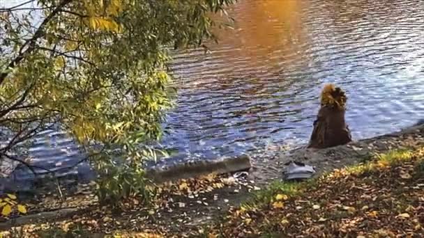 俄罗斯圣彼得斯堡市中心公园的池塘边坐着一位女士。秋天的概念 — 图库视频影像