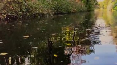 Sonbaharda şehir parkında nehirde yüzüyordu. Yeşil ve sarı yapraklı ağaçlar. Güneş parlayan güzel güneş ışığı .