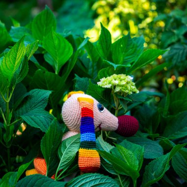 Amigurumi bebek gökkuşağı dachshund yazın bahçede bir fotoğrafçıya poz verir..