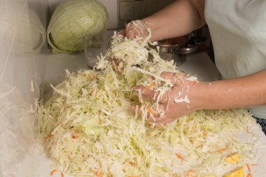 Beyaz lahana öğütme ve ekşi ekmek