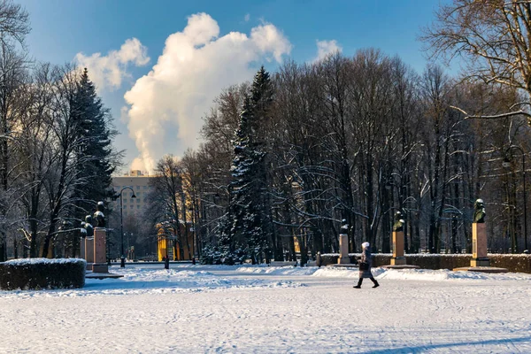 俄罗斯 圣彼得堡 胜利公园 2021年2月9日 — 图库照片