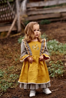 Güzel sarı elbiseli şirin bir çocuğun portresi. Bir sürü havuç ve bir çiftlikte. 