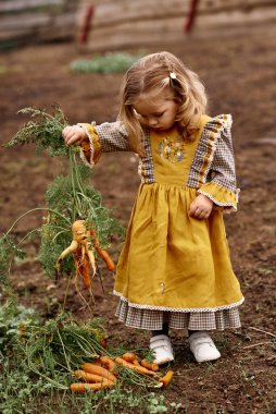 Güzel sarı elbiseli şirin bir çocuğun portresi. Bir sürü havuç ve bir çiftlikte. 