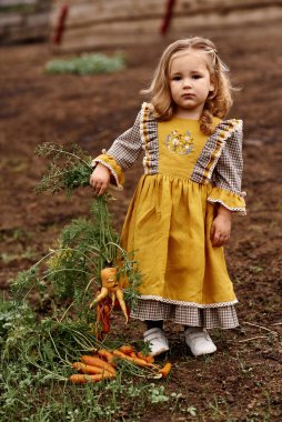 Güzel sarı elbiseli şirin bir çocuğun portresi. Bir sürü havuç ve bir çiftlikte. 