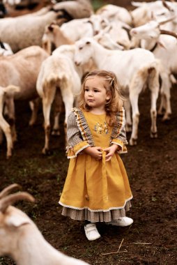 Güzel sarı elbiseli şirin bir çocuğun portresi bir çiftlikte keçi arka planında