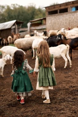 Güzel elbiseli şirin çocuklar çiftlikte yürüyüp keçileri besliyor.