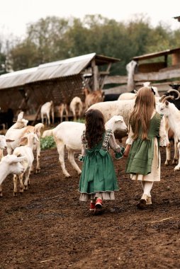 Güzel yeşil elbiseli şirin çocuklar çiftlikte keçi arka planında yürüyorlar.