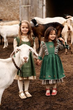 Güzel elbiseli şirin çocuklar çiftlikte yürüyüp keçileri besliyor.