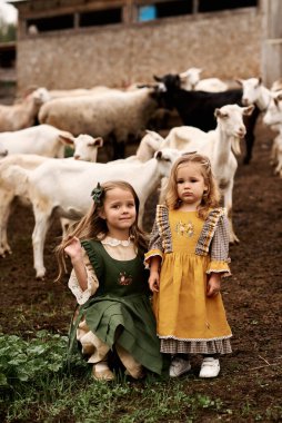 Güzel elbiseli şirin çocuklar çiftlikte yürüyüp keçileri besliyor.