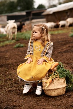 Güzel sarı elbiseli şirin bir çocuğun portresi bir çiftlikteki bankta oturan keçilerin arka planında
