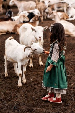 Güzel yeşil elbiseli şirin bir çocuk çiftlikte keçi arka planında yürüyor.