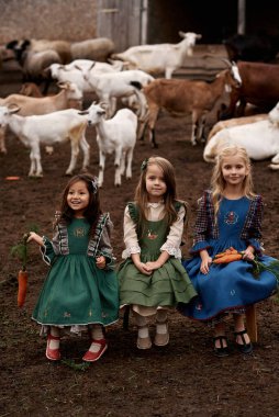 Güzel elbiseli şirin çocuklar çiftlikteki bankta oturmuş keçilerin arka planında