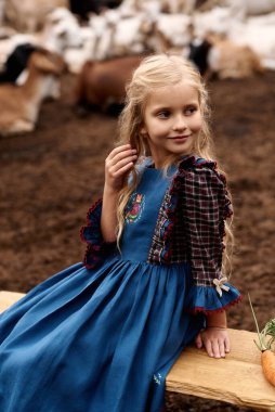 Güzel mavi elbiseli şirin bir çocuğun portresi bir çiftlikte keçi arka planında yürüyor.