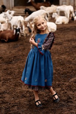 Güzel mavi elbiseli şirin bir çocuğun portresi bir çiftlikte keçi arka planında yürüyor.