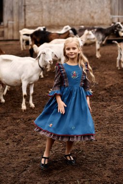 Güzel mavi elbiseli şirin bir çocuğun portresi bir çiftlikte keçi arka planında yürüyor.