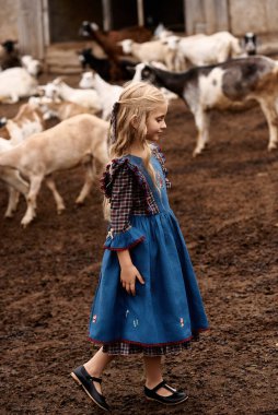 Güzel mavi elbiseli şirin bir çocuğun portresi bir çiftlikte keçi arka planında yürüyor.