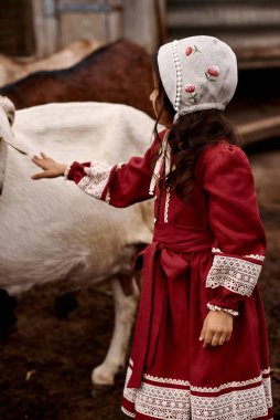 Güzel kırmızı elbiseli şirin çocuklar çiftlikte keçileri besliyor. 